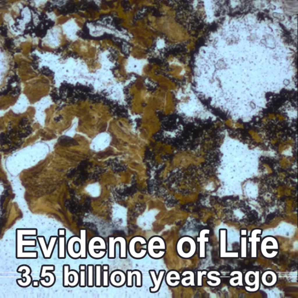 evidence-of-life