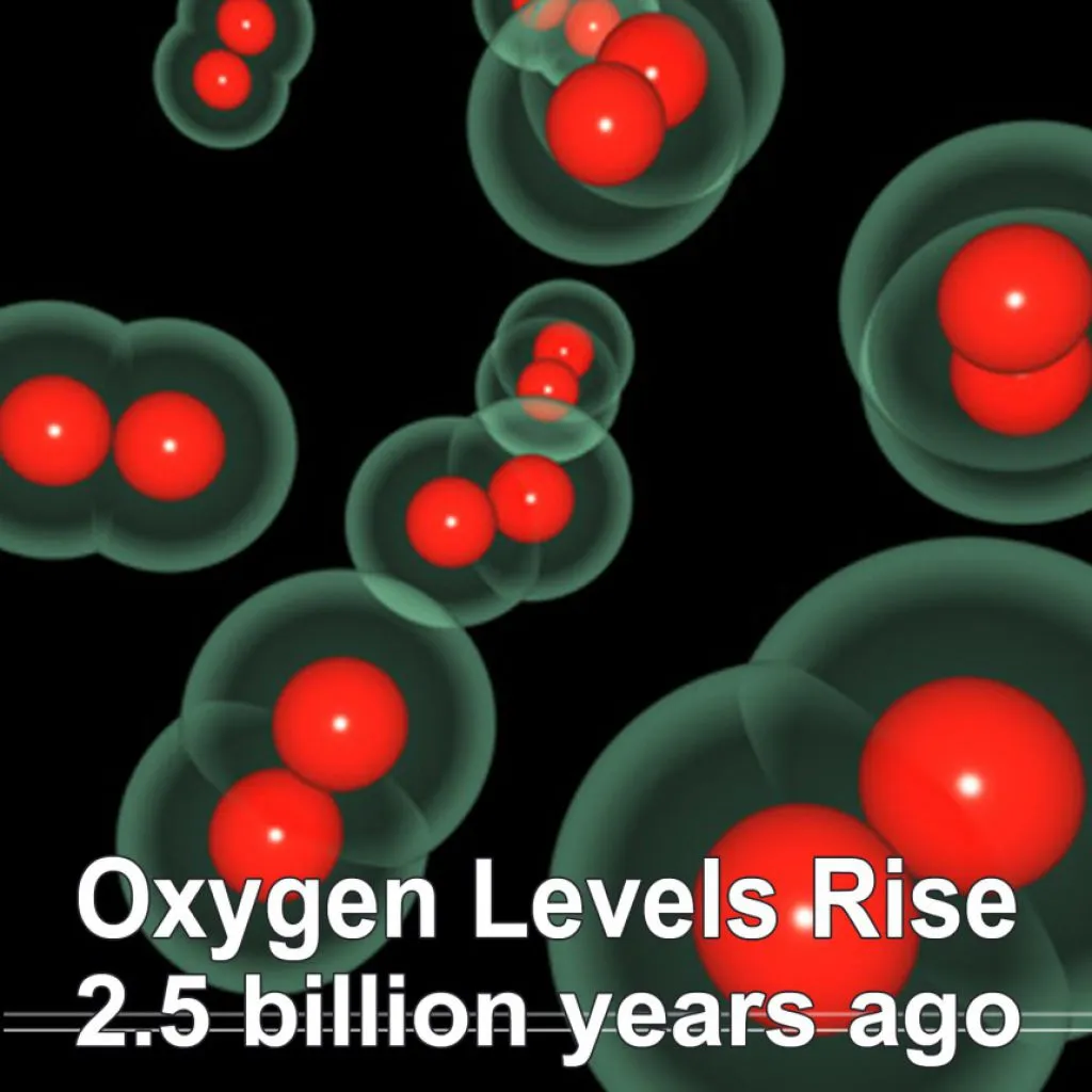 oxygen-levels-rise