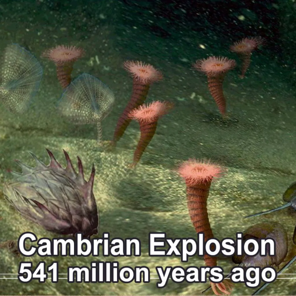 the-cambrian-explosion