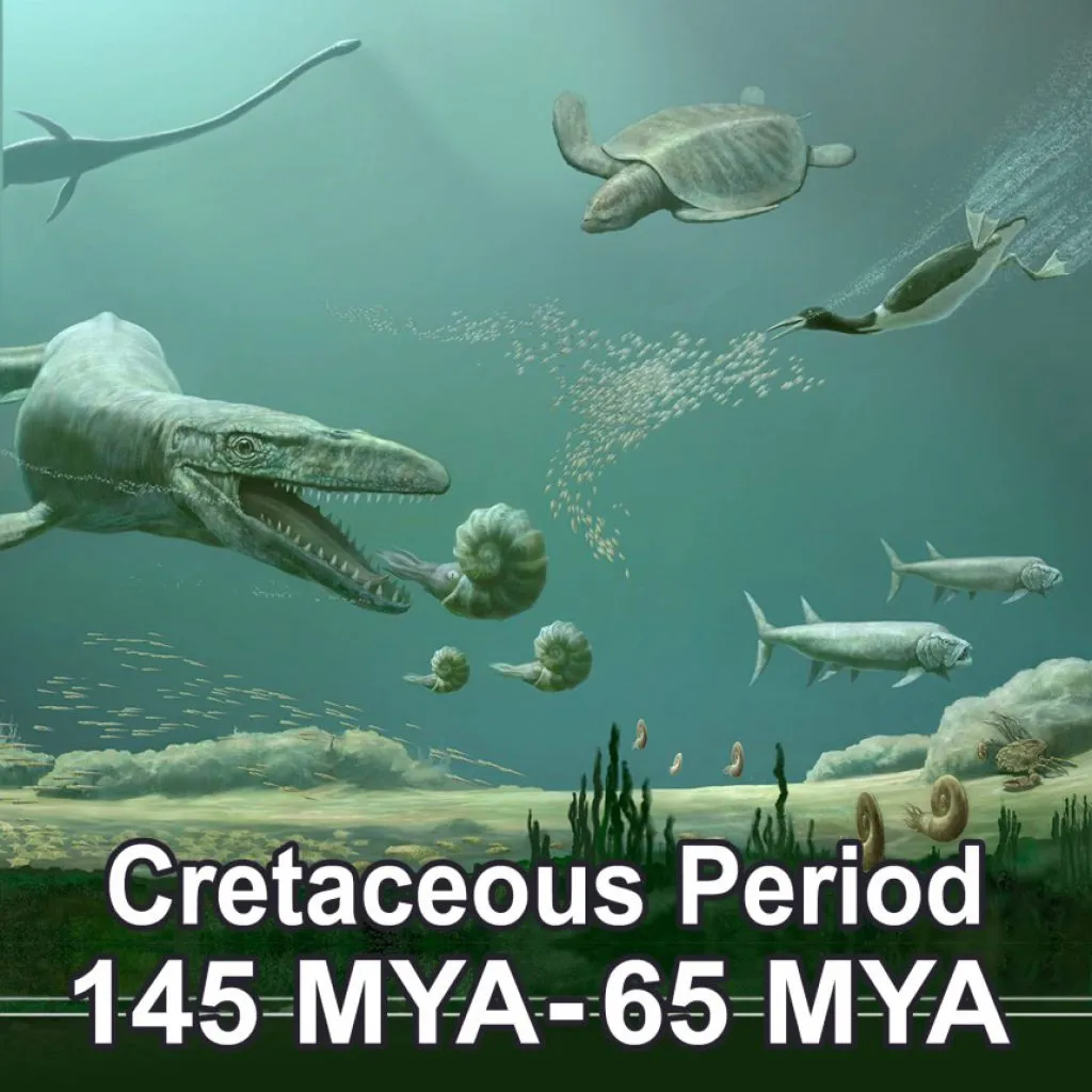 the-cretaceous-period